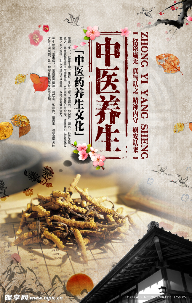 中医养生传统文化海报素材