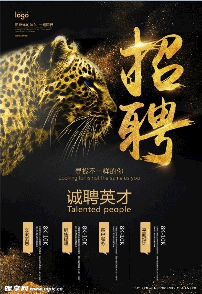 招聘海报  校招海报