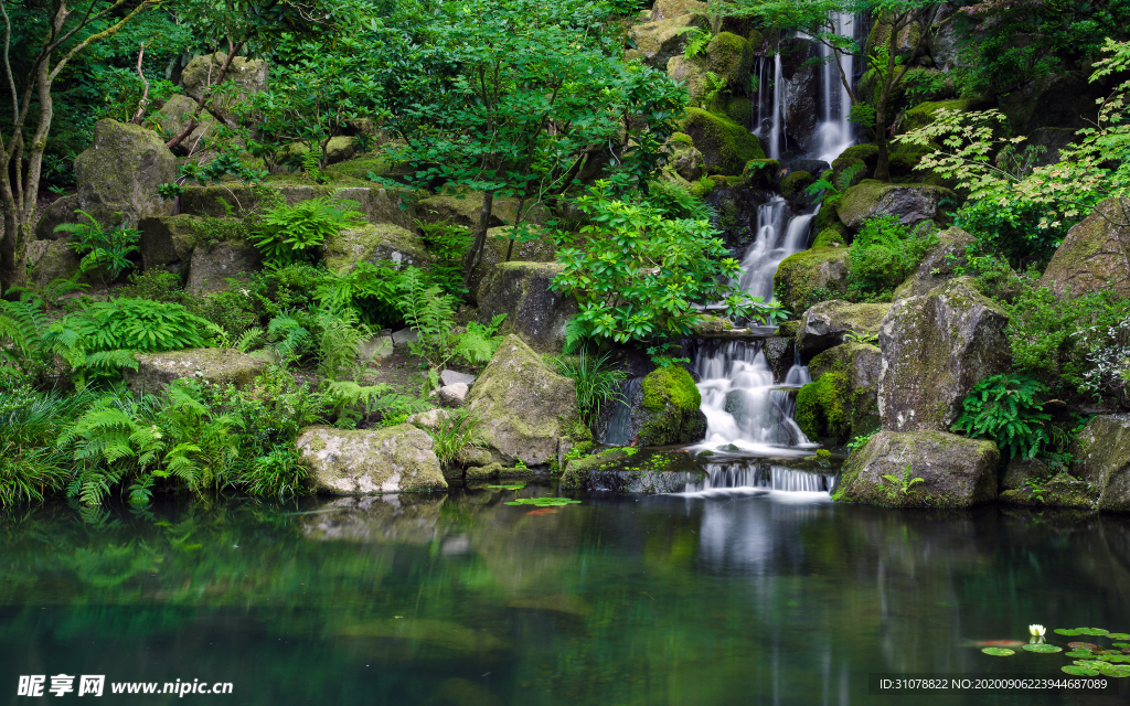 自然风景树林摄影图
