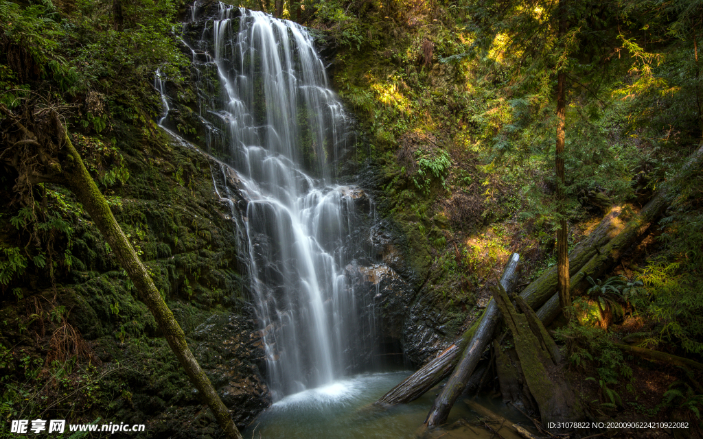 自然风景树林摄影图