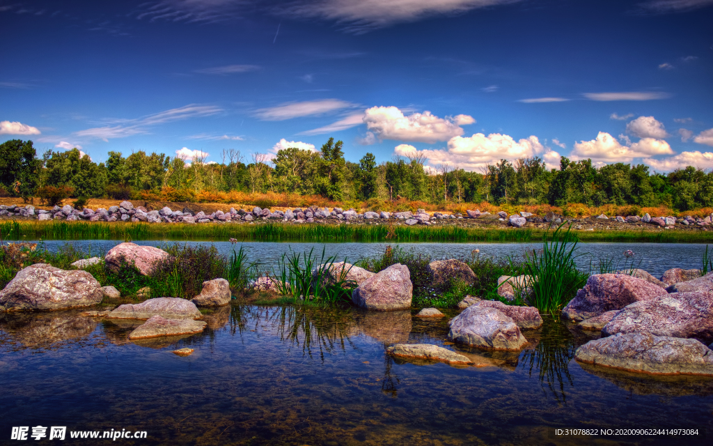 自然风景树林摄影图