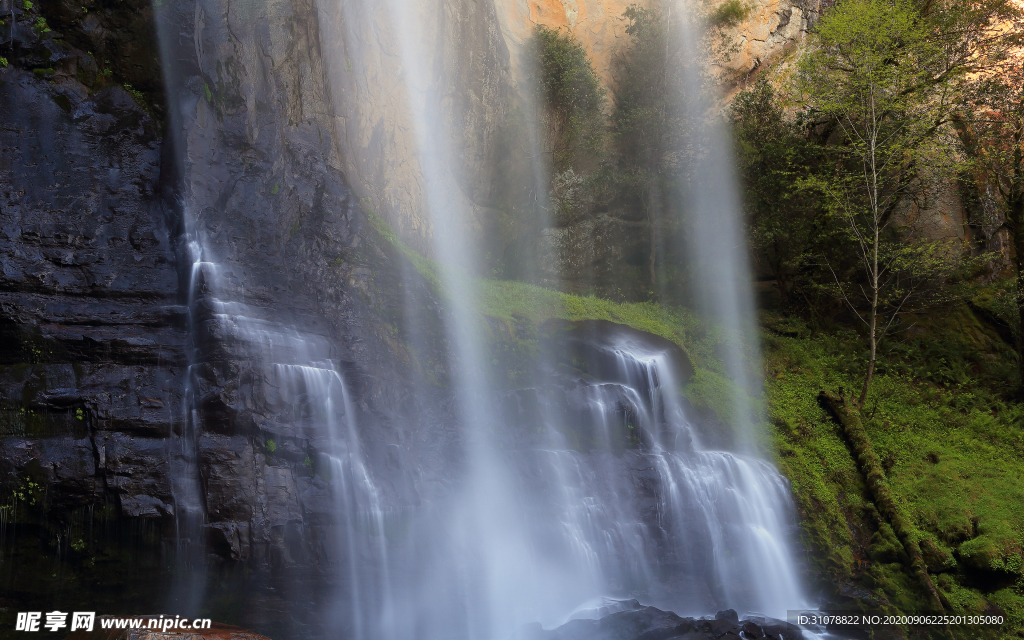 自然风景树林摄影图