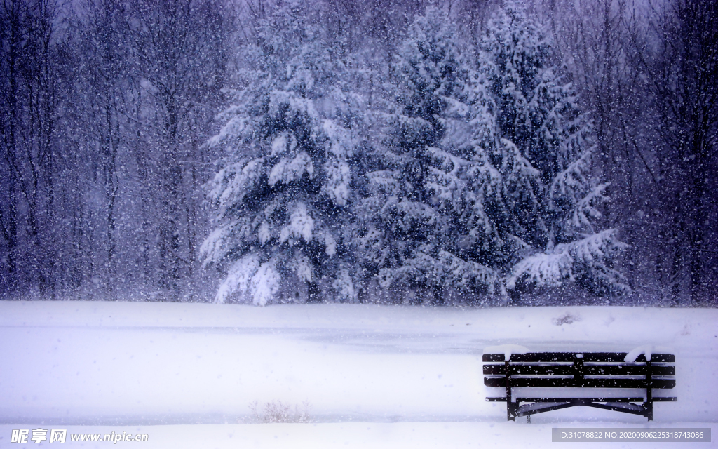 自然风景树林摄影图