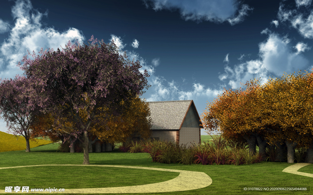 自然风景树林摄影图