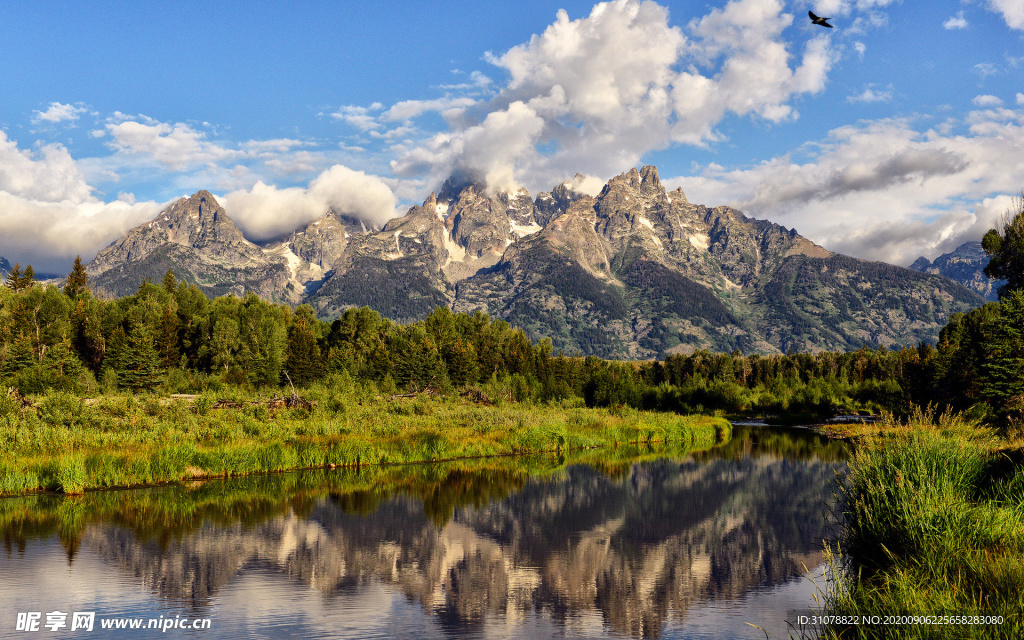 自然风景树林摄影图