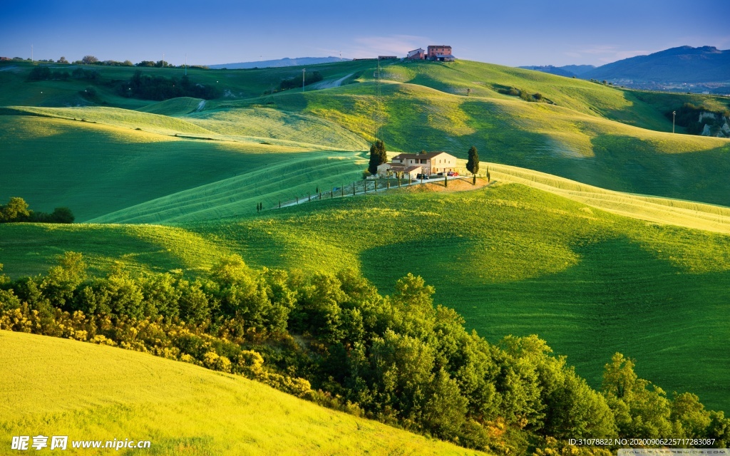 自然风景树林摄影图