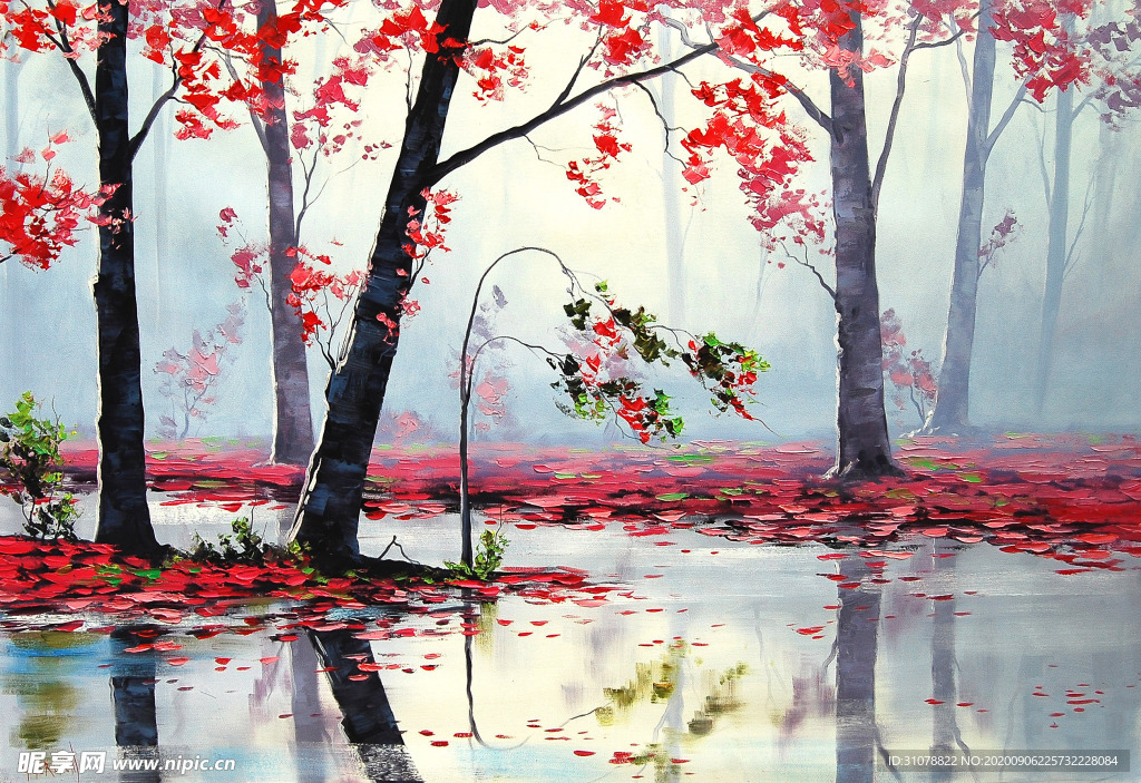 自然风景树林摄影图