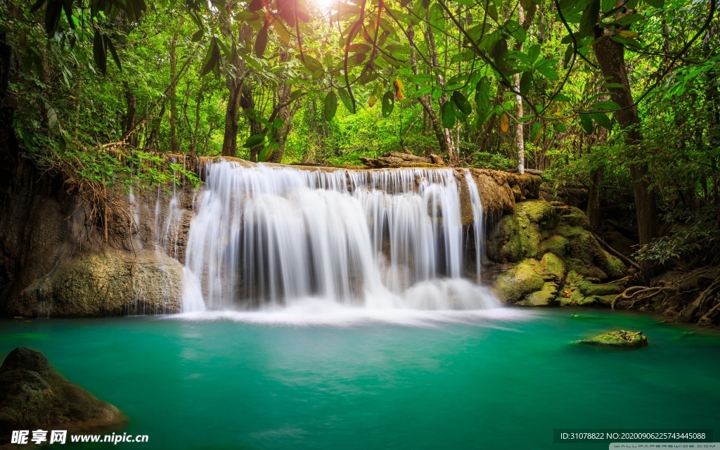 自然风景树林摄影图