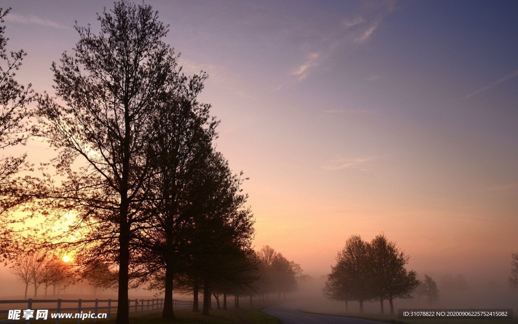 自然风景树林摄影图
