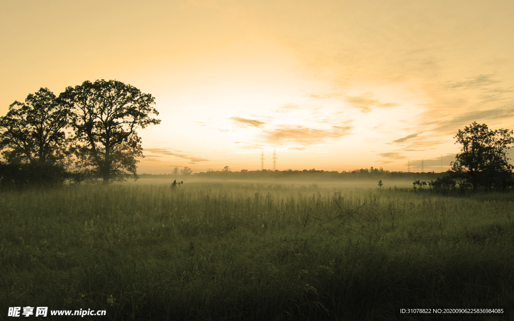 自然风景树林摄影图