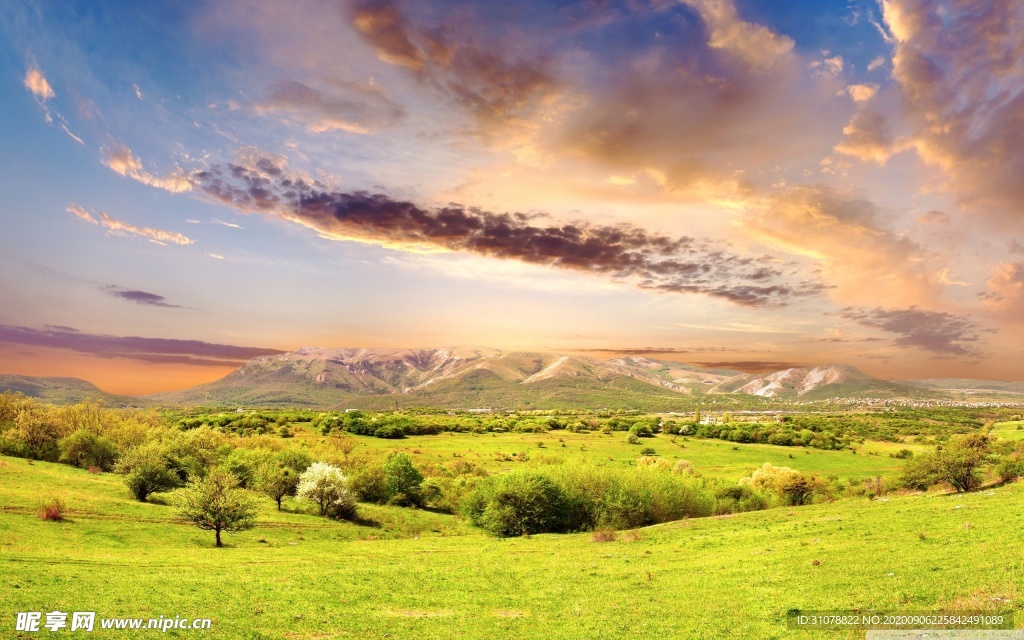 自然风景树林摄影图