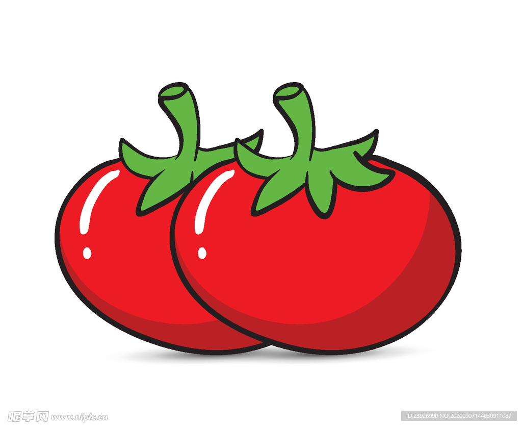 手绘西红柿