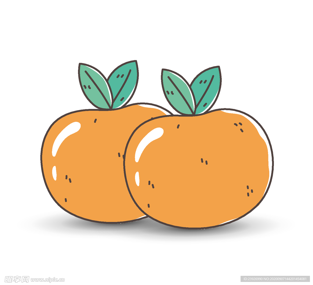 手绘橙子