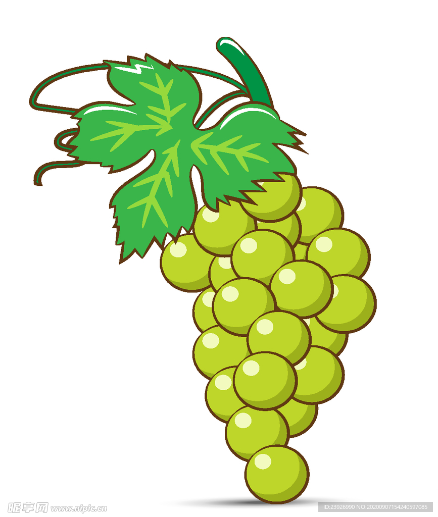手绘葡萄