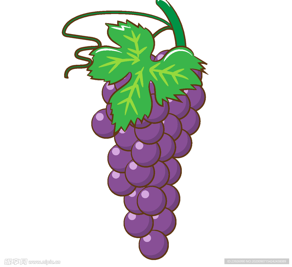手绘葡萄