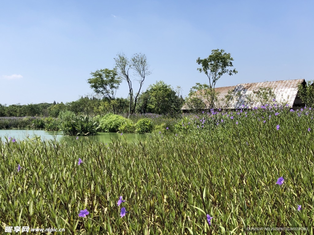 良渚遗址复原茅屋