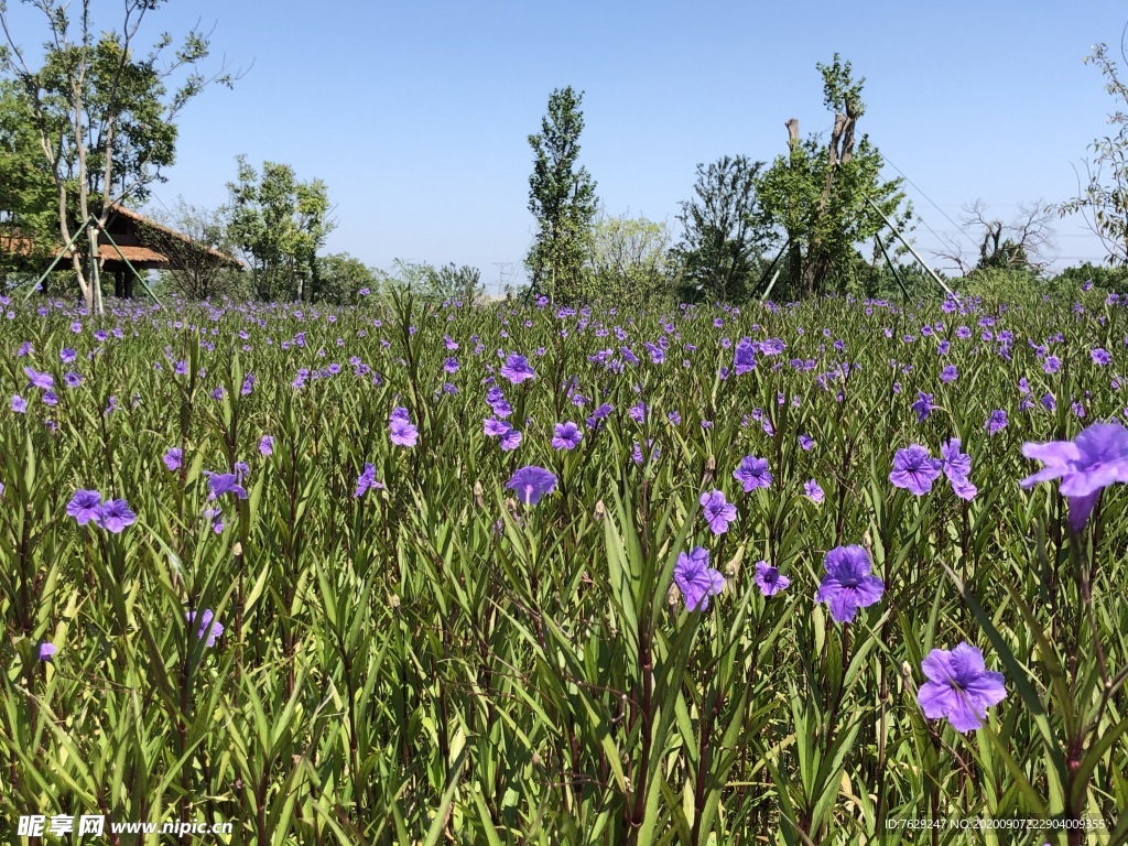 良渚遗址公园 景观