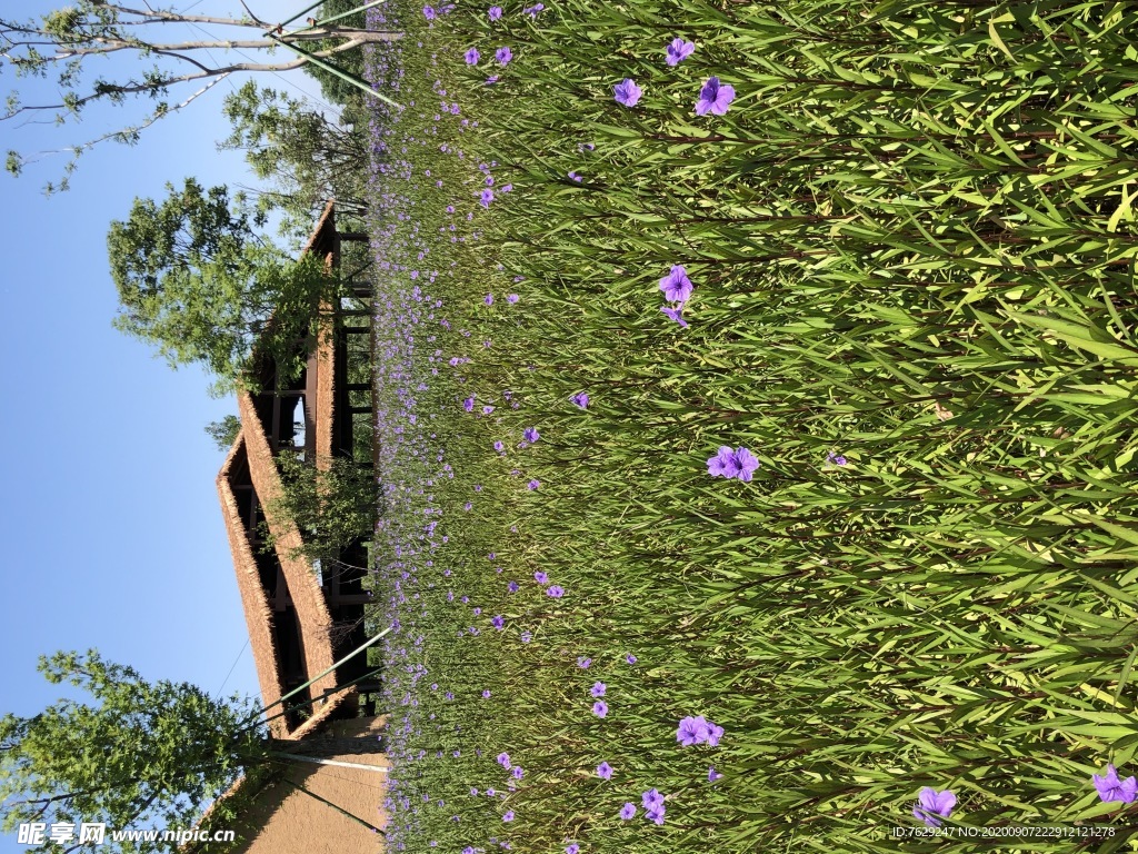 良渚遗址公园 复原茅屋