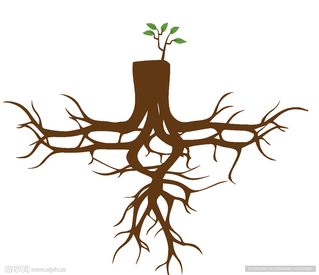 手绘树根