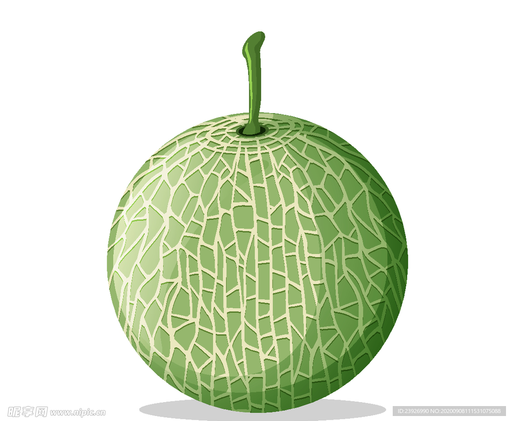 手绘哈密瓜