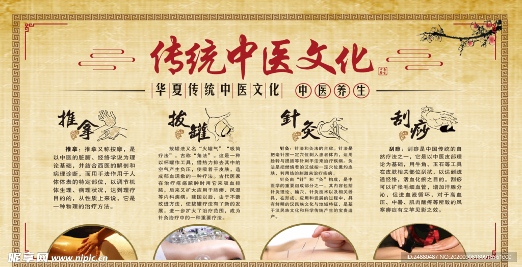 中医药文化展板