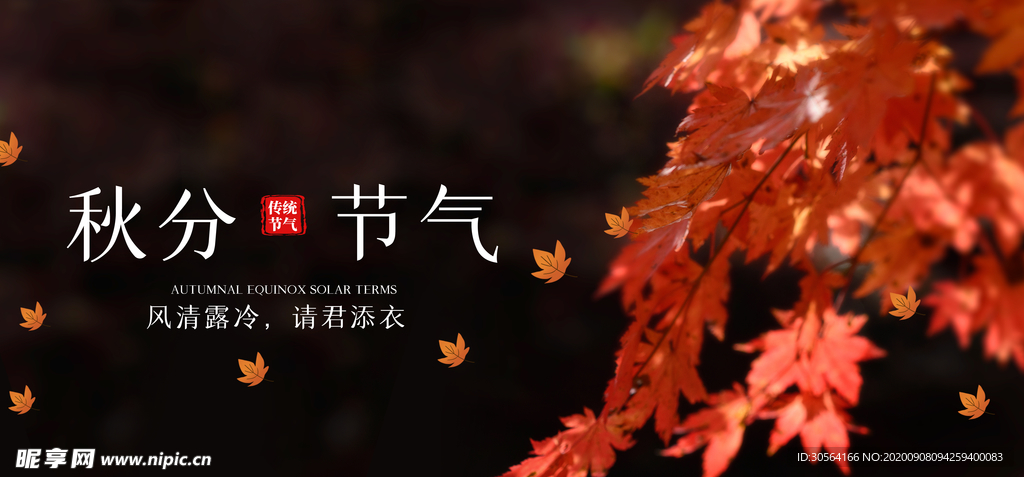 秋分节气传统活动海报素材