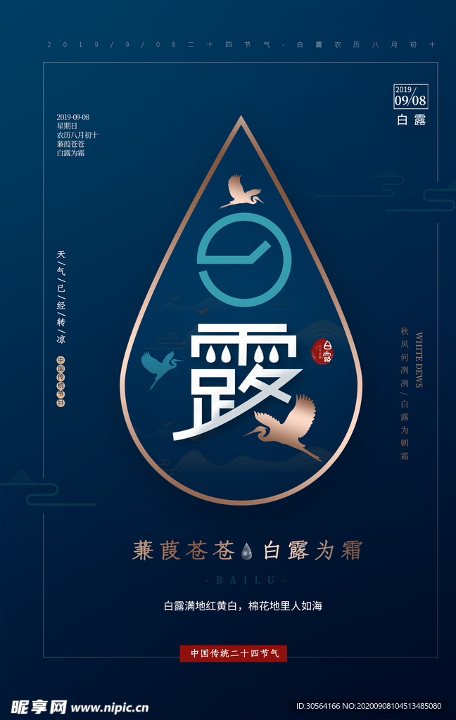 白露节日传统活动海报素材