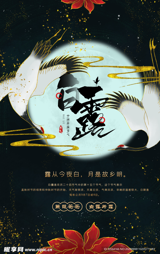 白露节气传统宣传活动海报素材