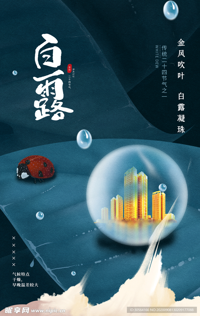 白露节气传统活动宣传海报素材