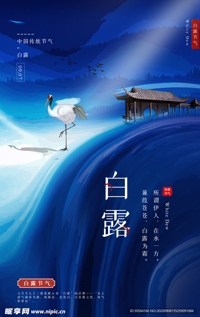 白露节气传统活动宣传海报素材