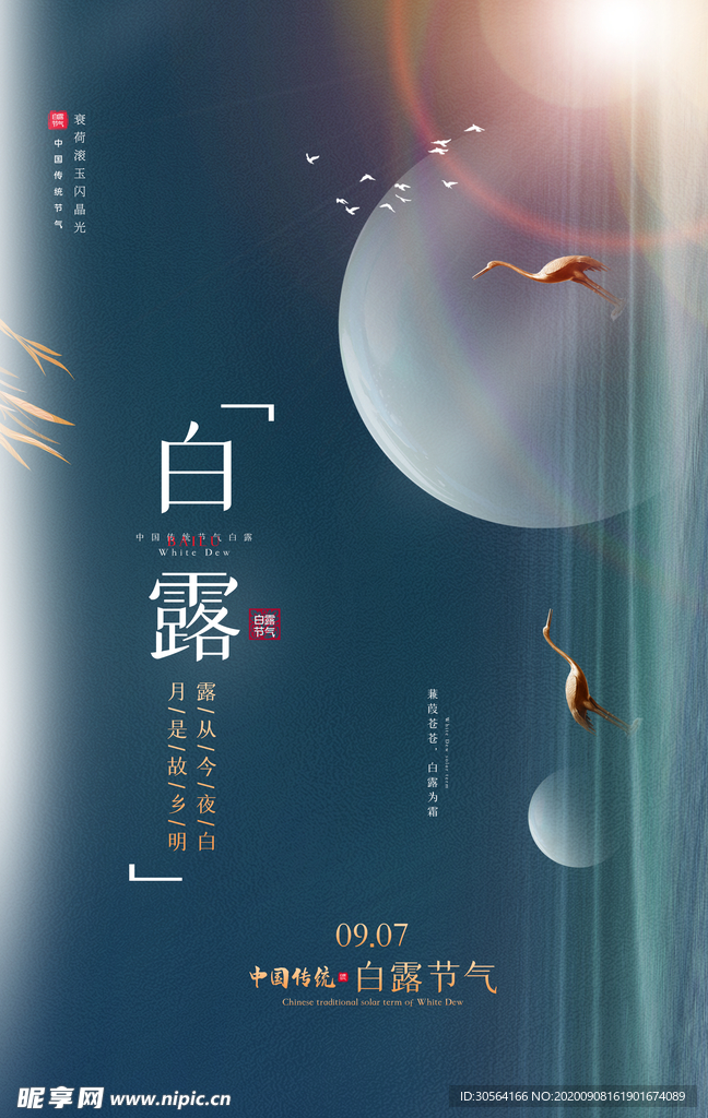 白露节气传统活动宣传海报素材