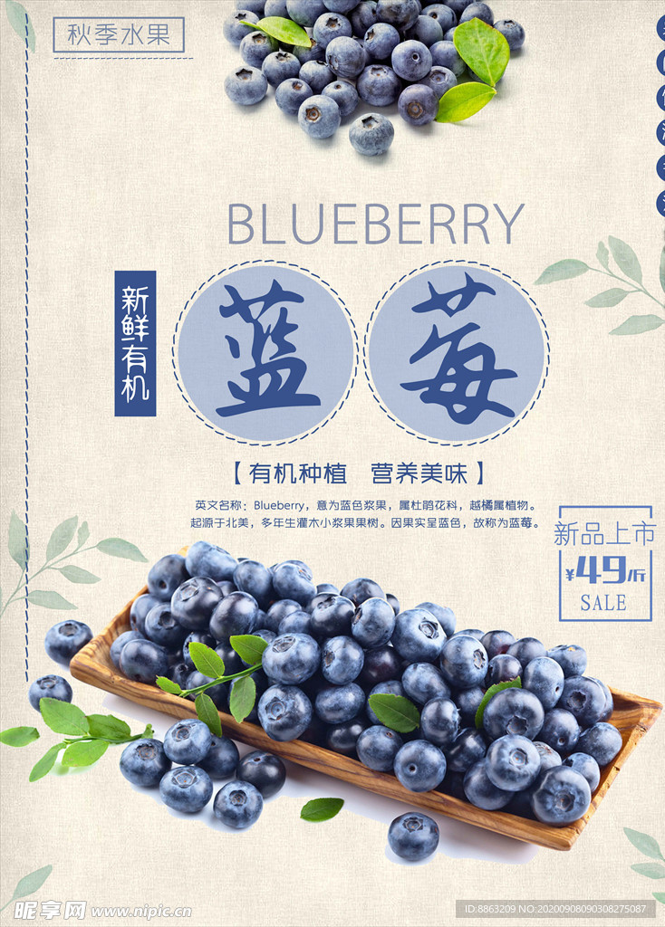 蓝莓 蓝莓海报图片