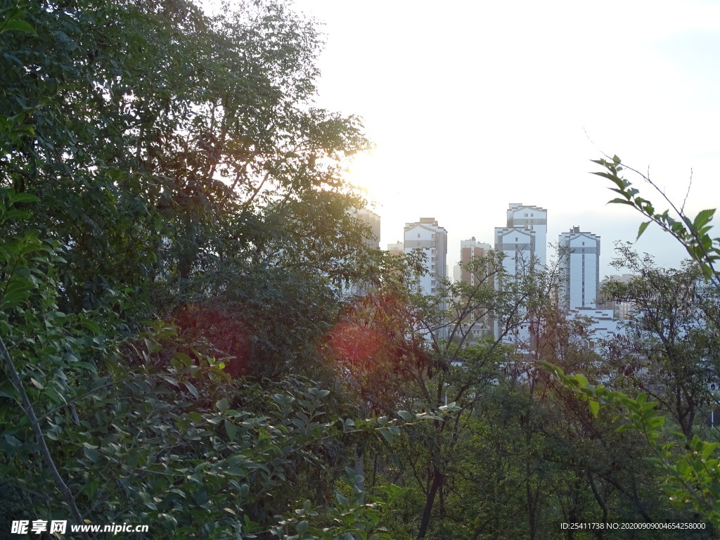 森林中远眺高楼