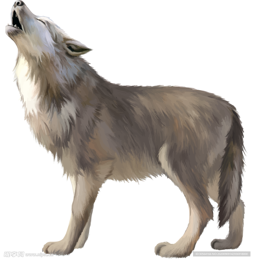 狼动物图形装饰背景素材