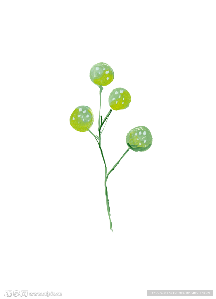 水粉花卉素材花型