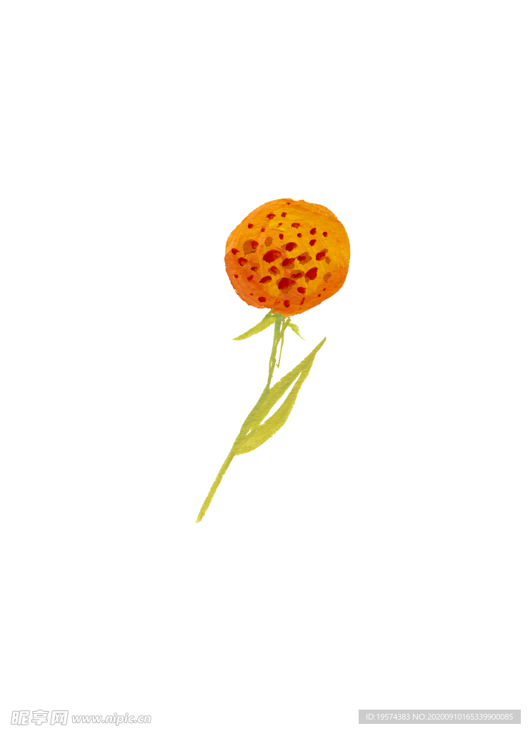 水粉花卉素材花型