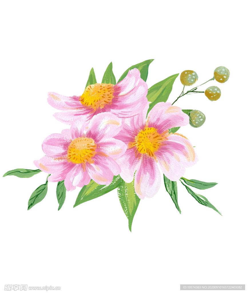 水粉花卉素材花型
