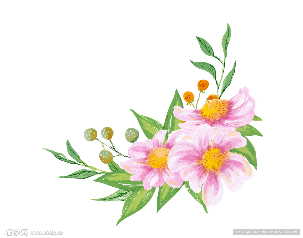 水粉花卉素材花型