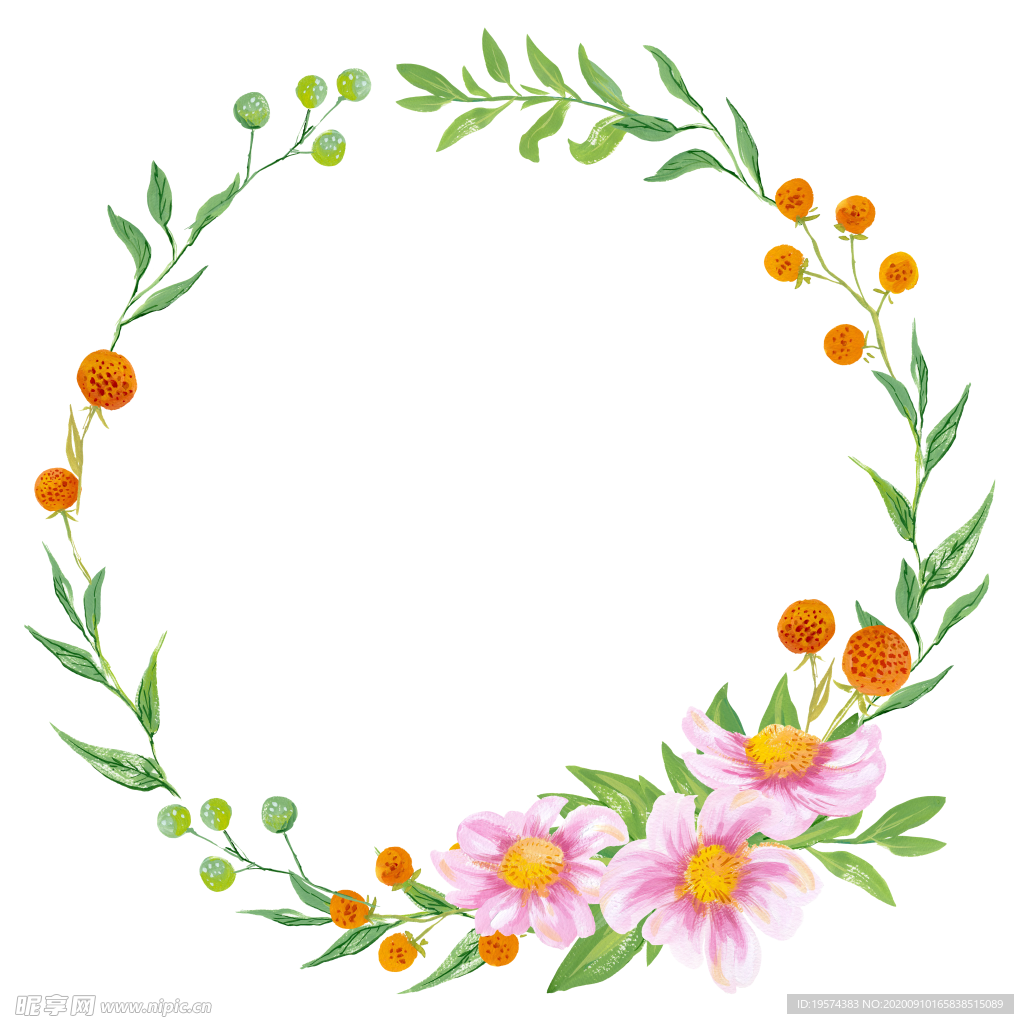 水粉花卉素材花型