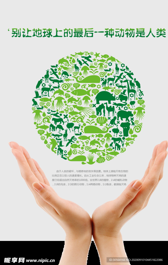 保护动物公益活动海报素材