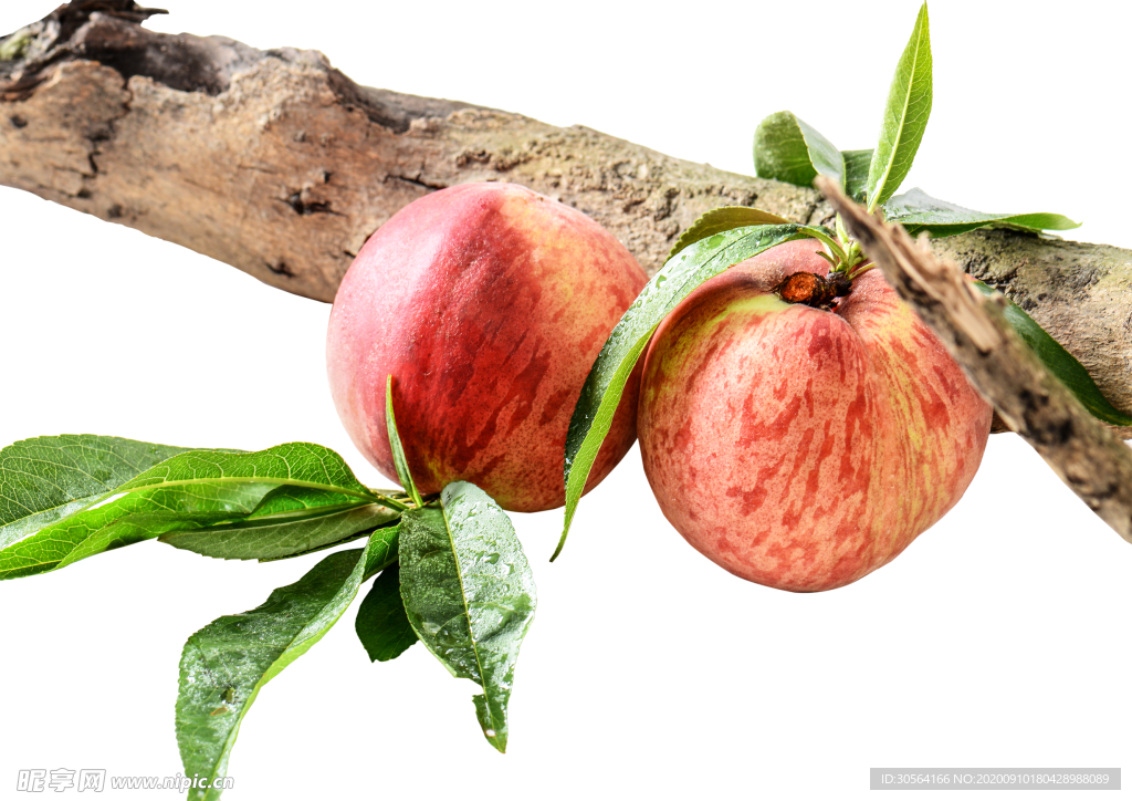 苹果水果背景海报素材