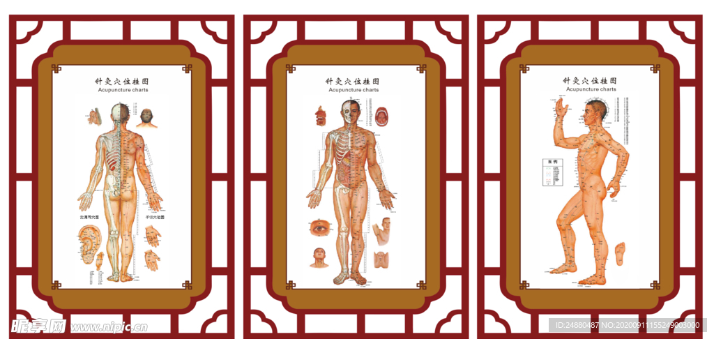 针灸穴位挂图展板