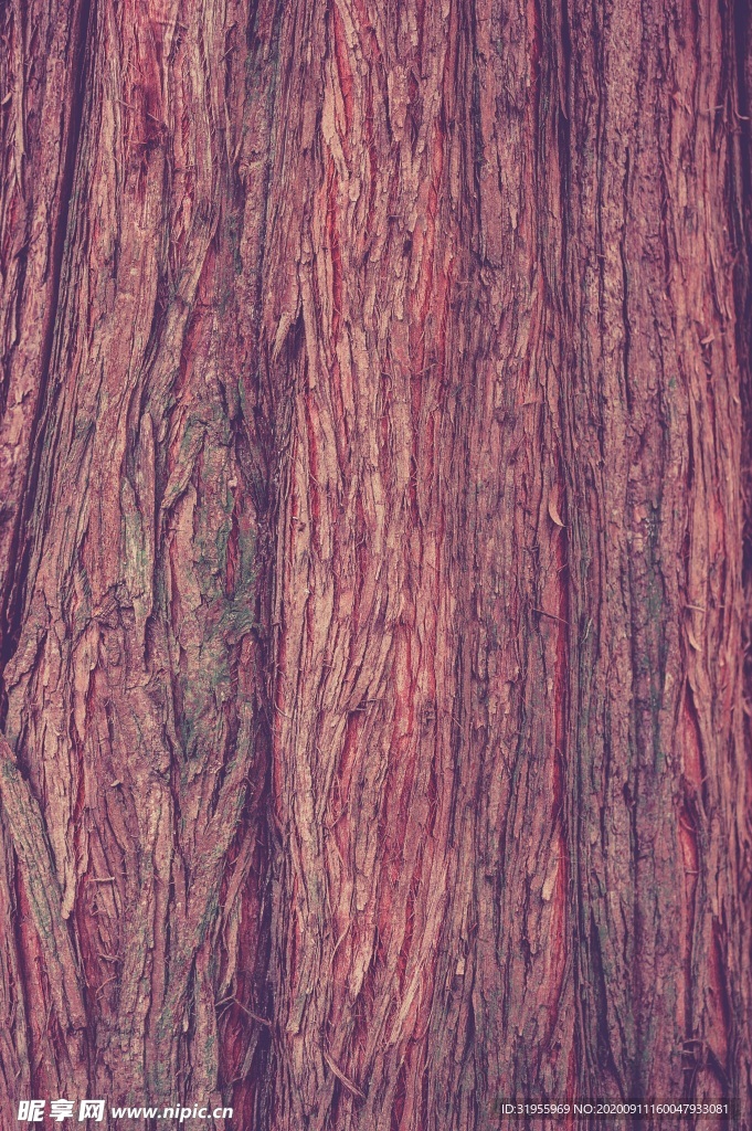 木纹背景