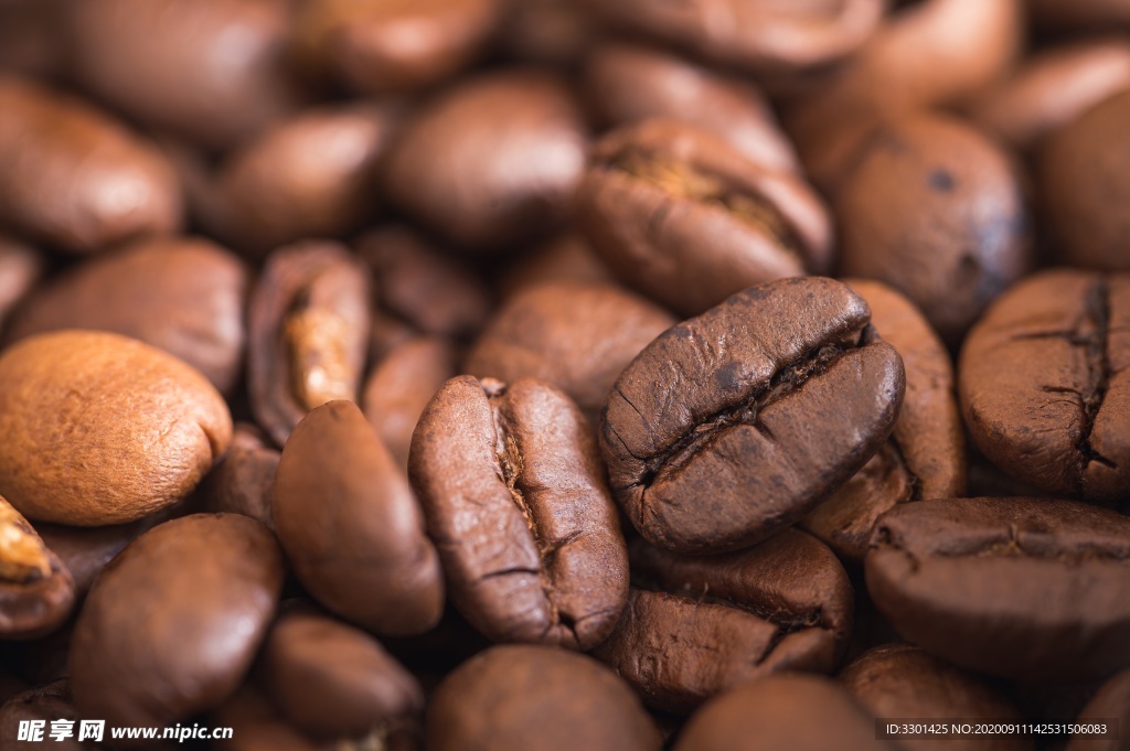 咖啡豆图片