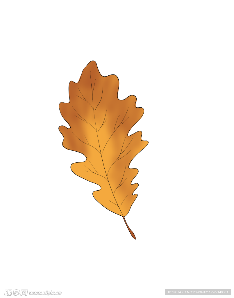 树叶 黄色 卡通