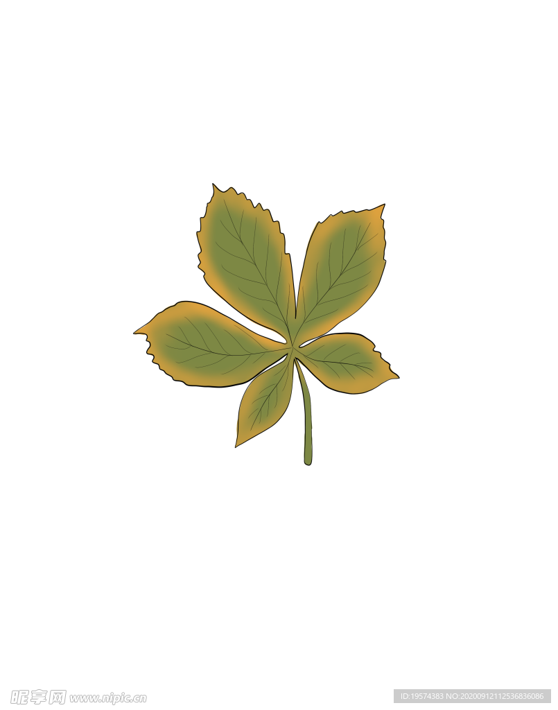 手绘丰收的季节设计插画素材+纹