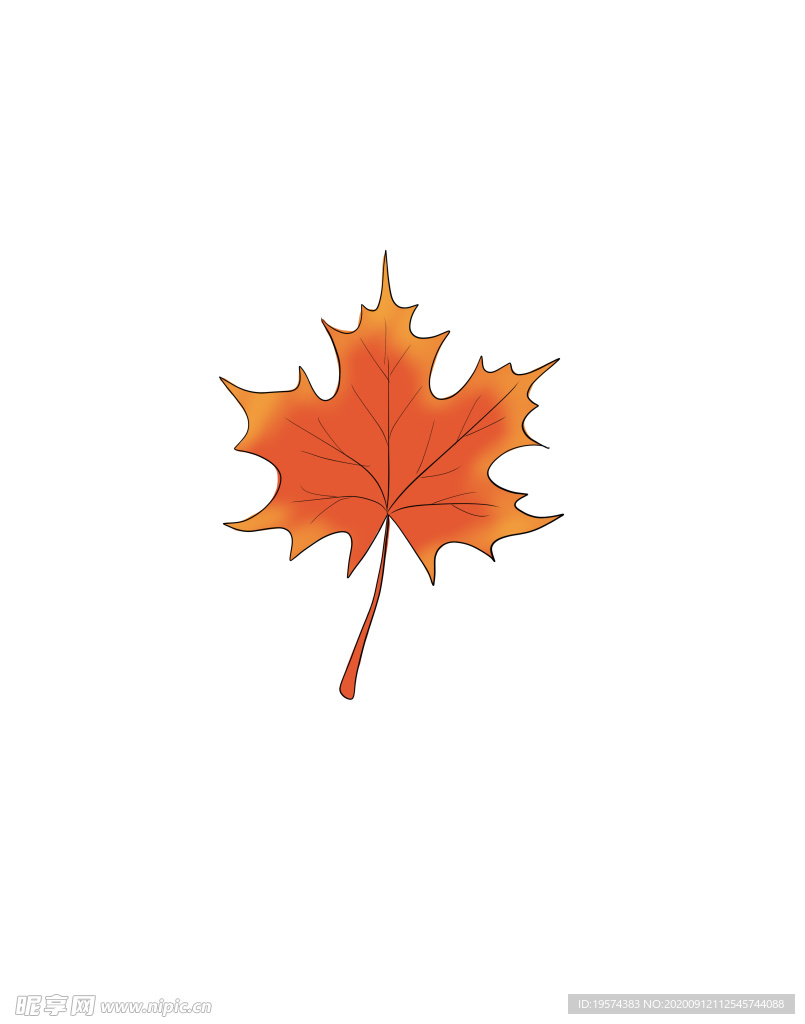 树叶 卡通