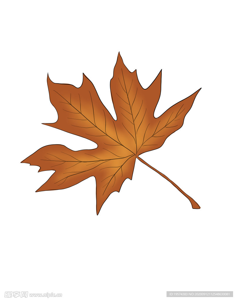 树叶 卡通 手绘