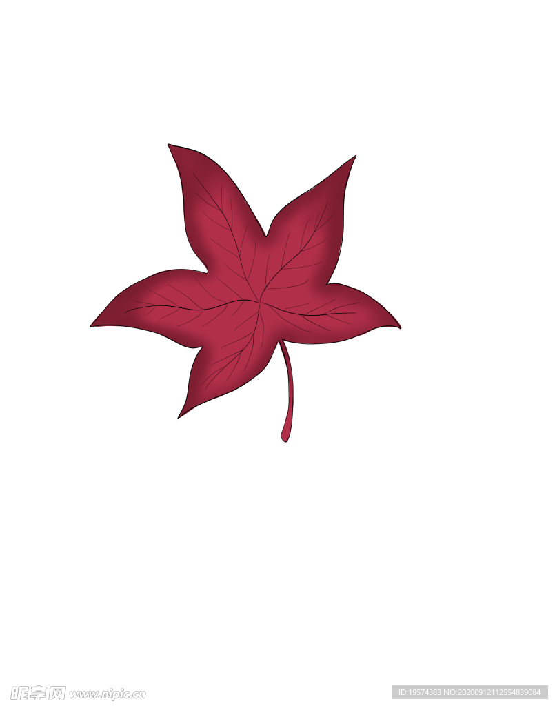 卡通 树叶 枫叶