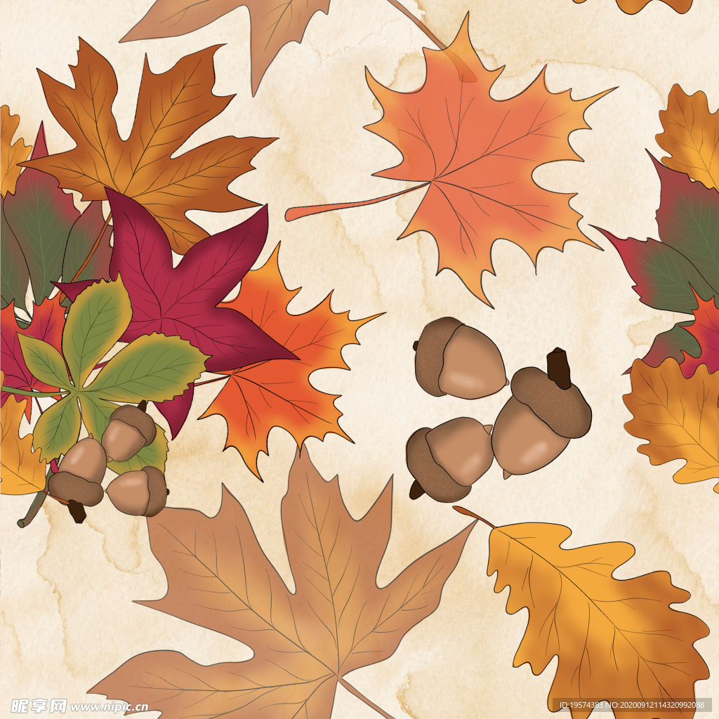 手绘丰收的季节设计插画素材+纹